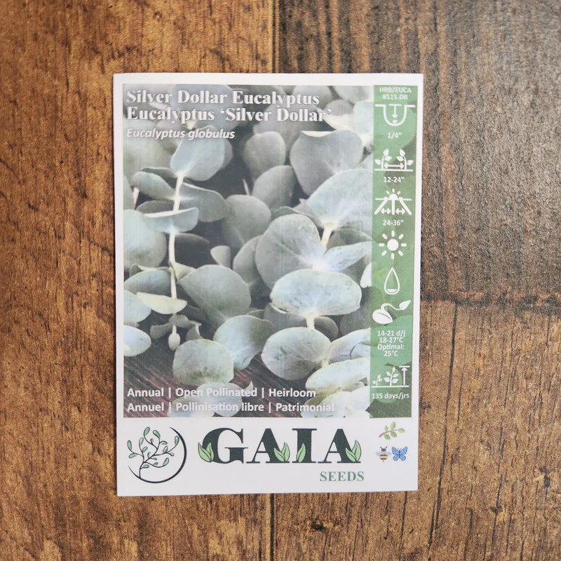 Eucalyptus 'Silver Dollar' bio