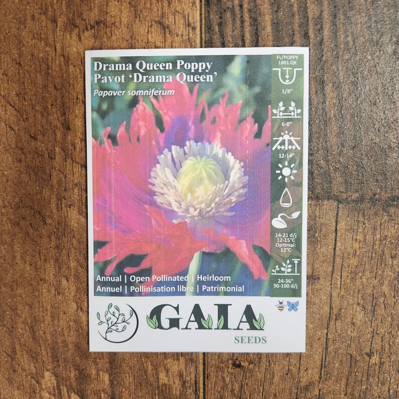 Pavot 'Drama Queen' bio