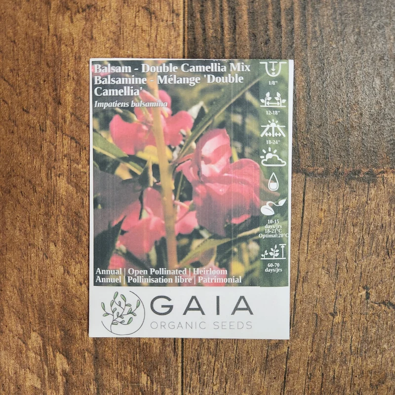 Balsamine 'Double Camellia Mix' bio