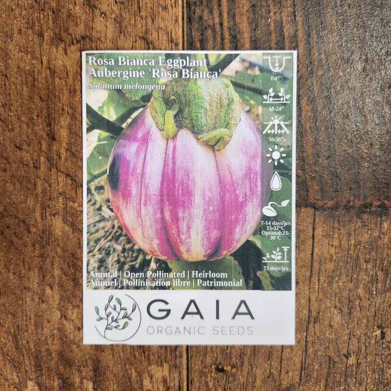 Aubergine 'Rosa Bianca' bio