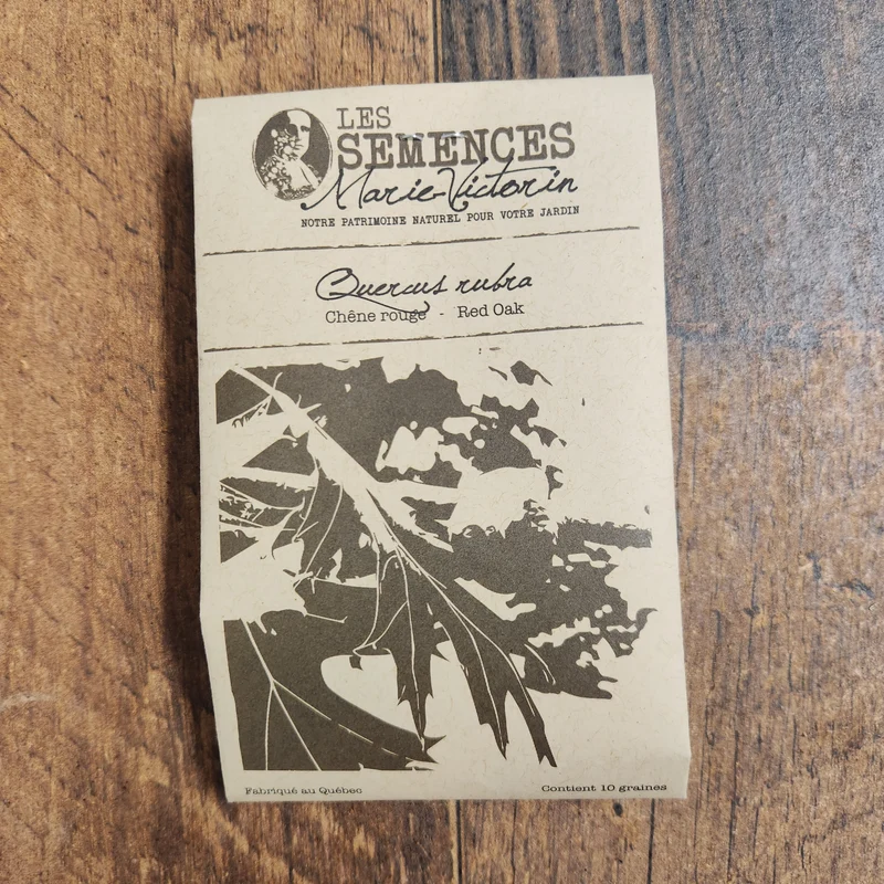 Chêne rouge