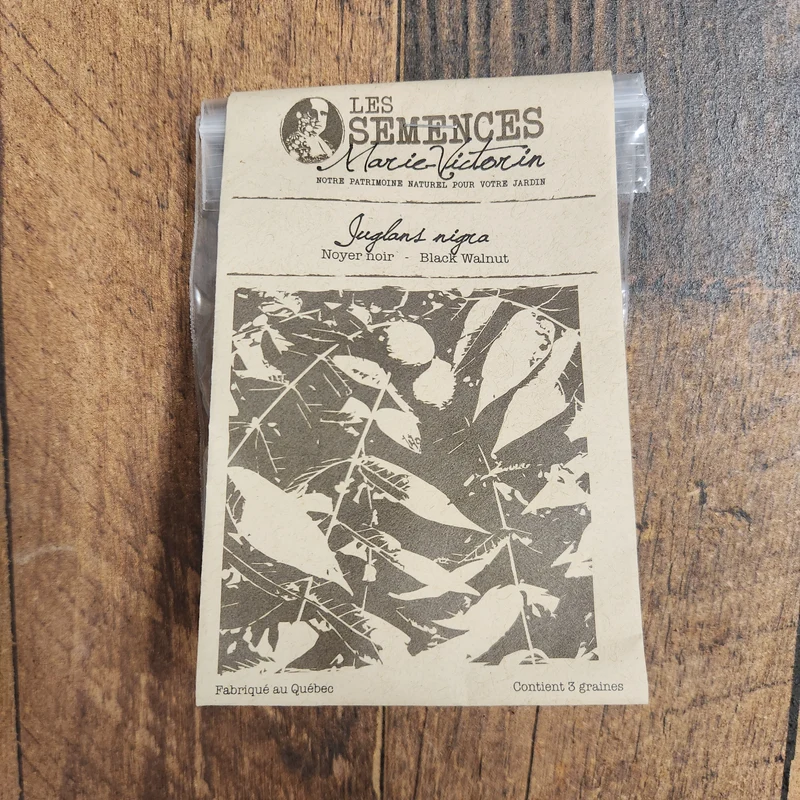 Noyer noir