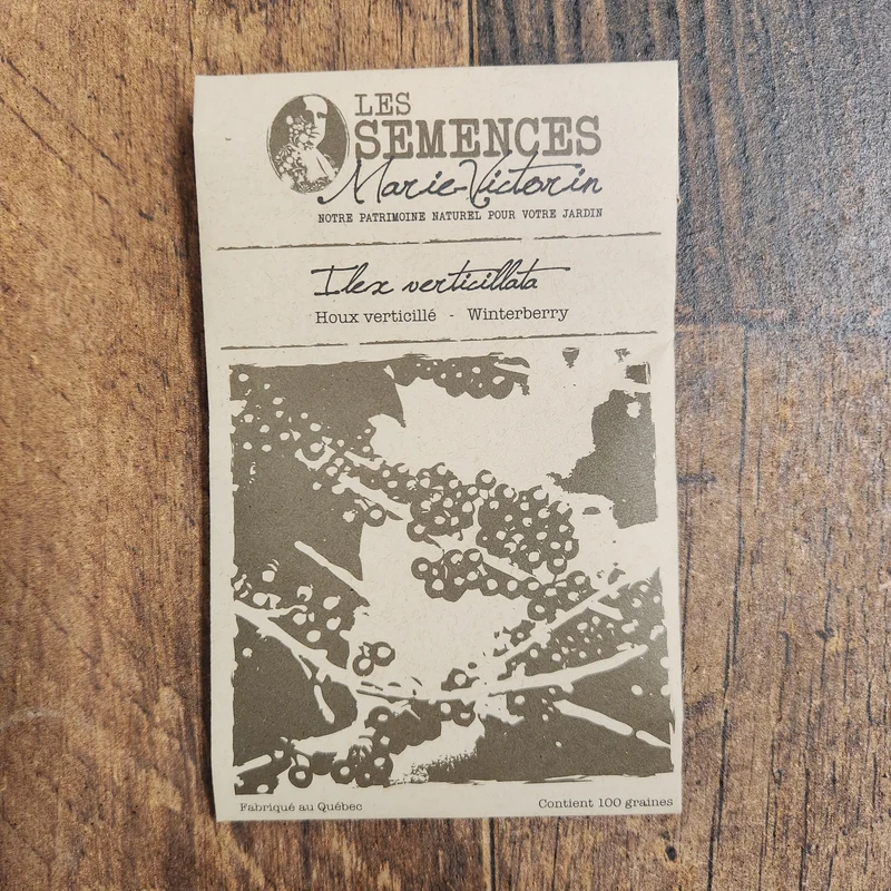 Houx verticillé