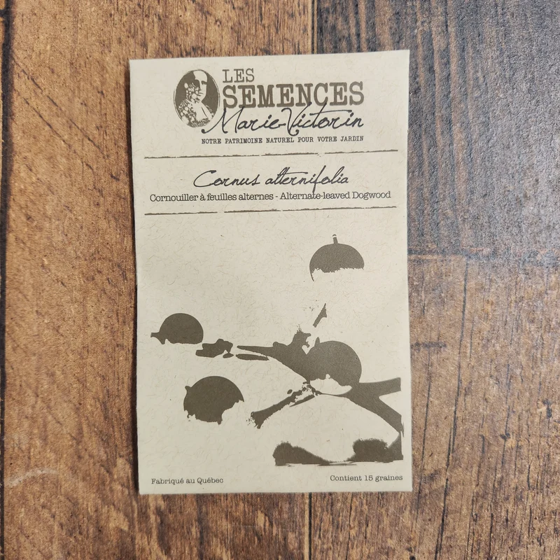 Cornouiller à feuilles alternes