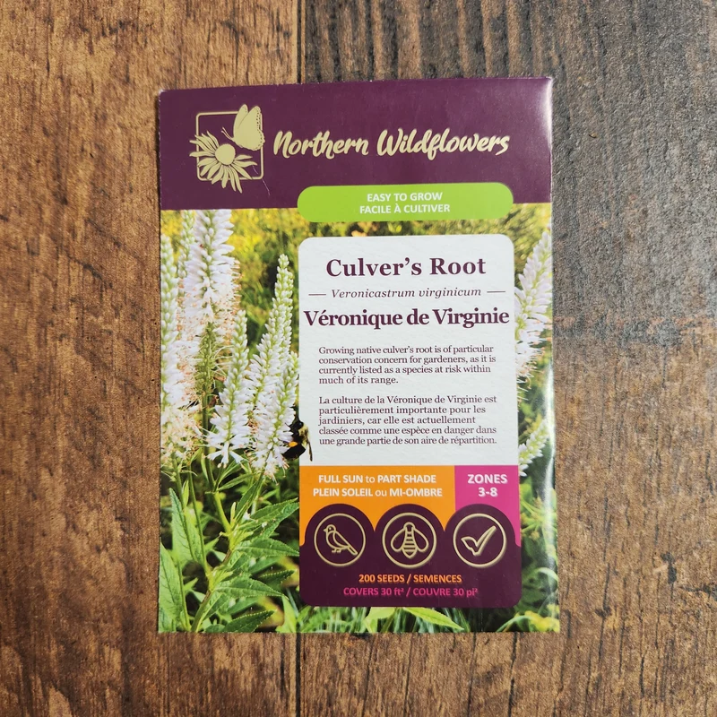 Véronique de Virginie ( Veronicastrum virginicum )