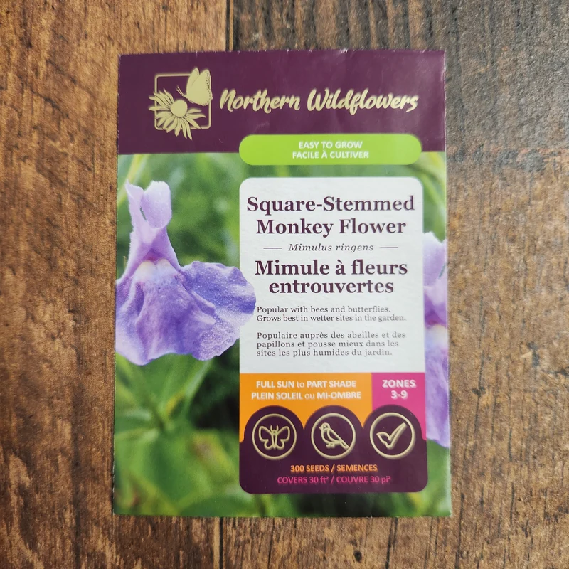 Mimule à Fleurs Entrouvertes