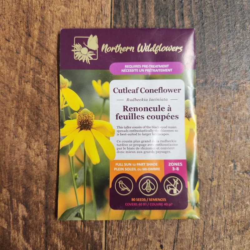 Renoncule à Feuilles Coupées