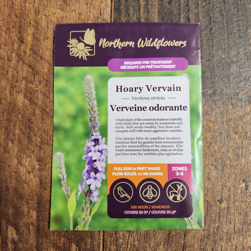 Verveine Odorante