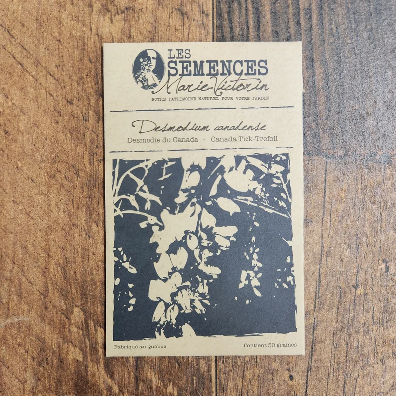 Desmodie du Canada