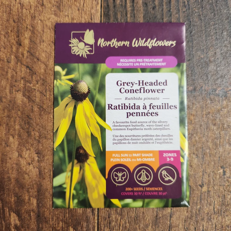 Ratibida à Feuilles Pennées