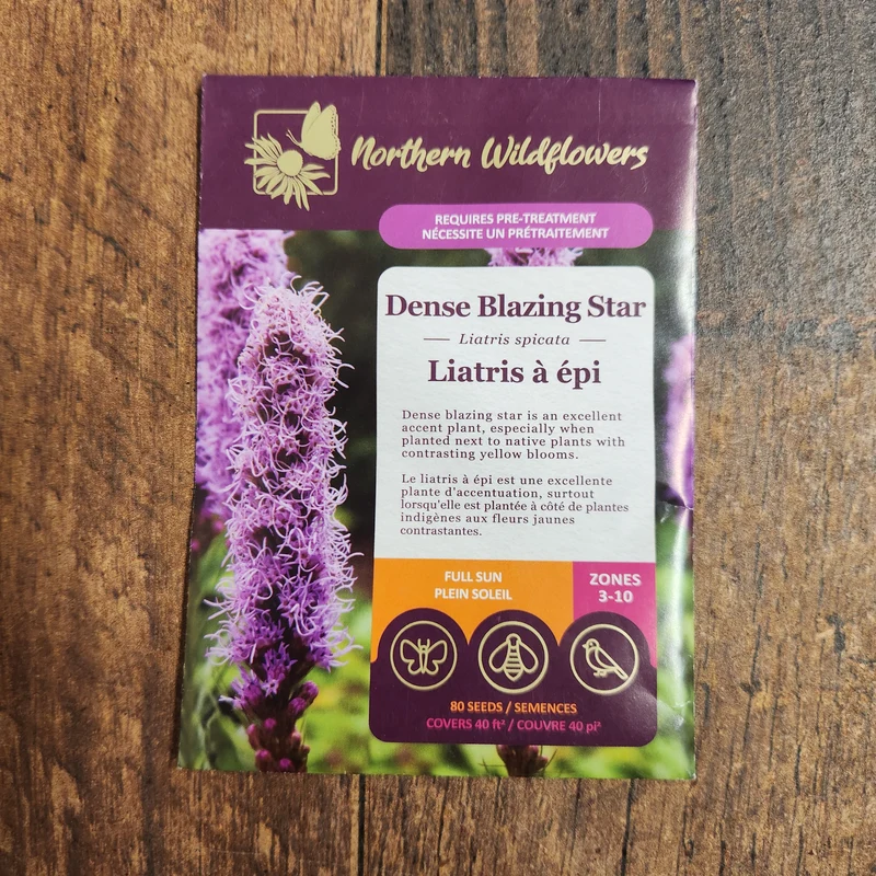 Liatris à Épi
