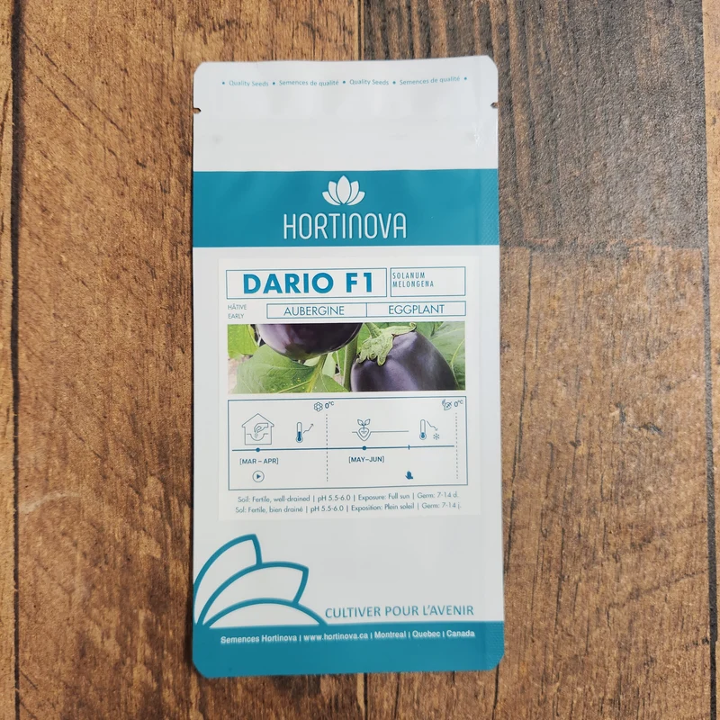 Aubergine 'Dario' F1
