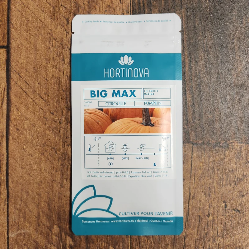 Citrouille 'Big max'