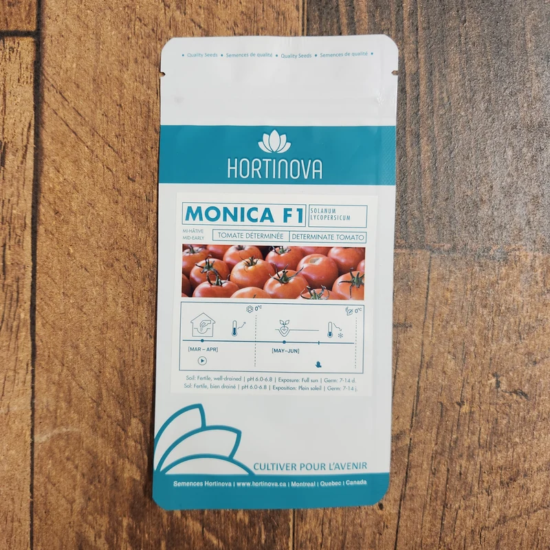 Tomate beefsteak 'Monica' F1