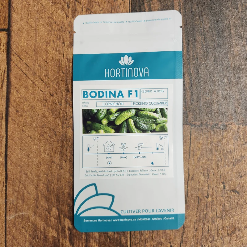 Concombre à cornichon 'Bodina' F1