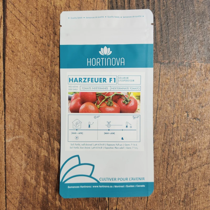 Tomate Ronde 'Harzfeuer' F1
