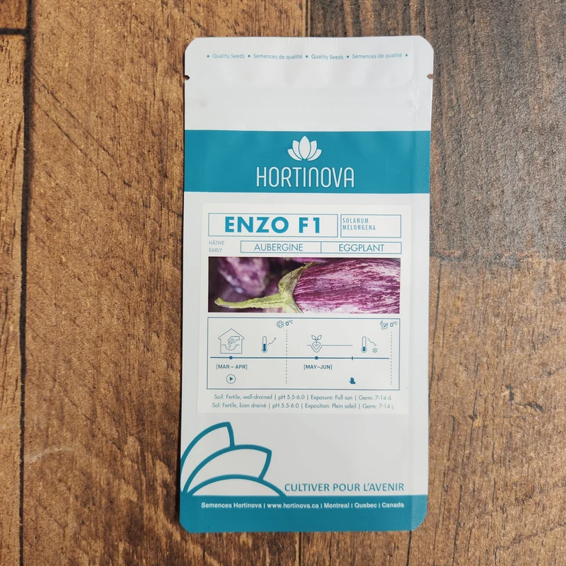 Aubergine 'Enzo' F1