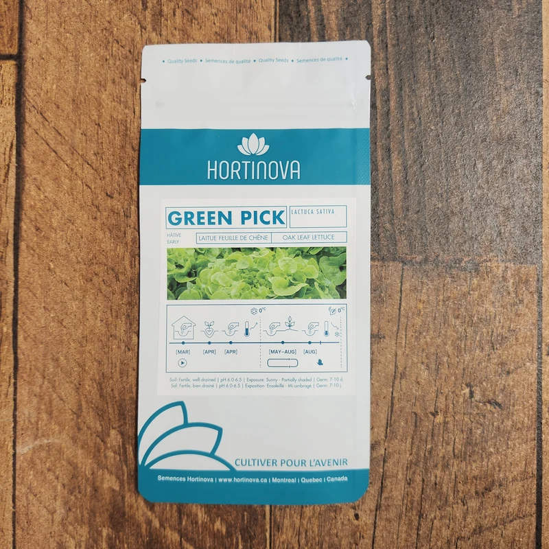 Laitue Feuille de Chêne Verte 'Green pick'