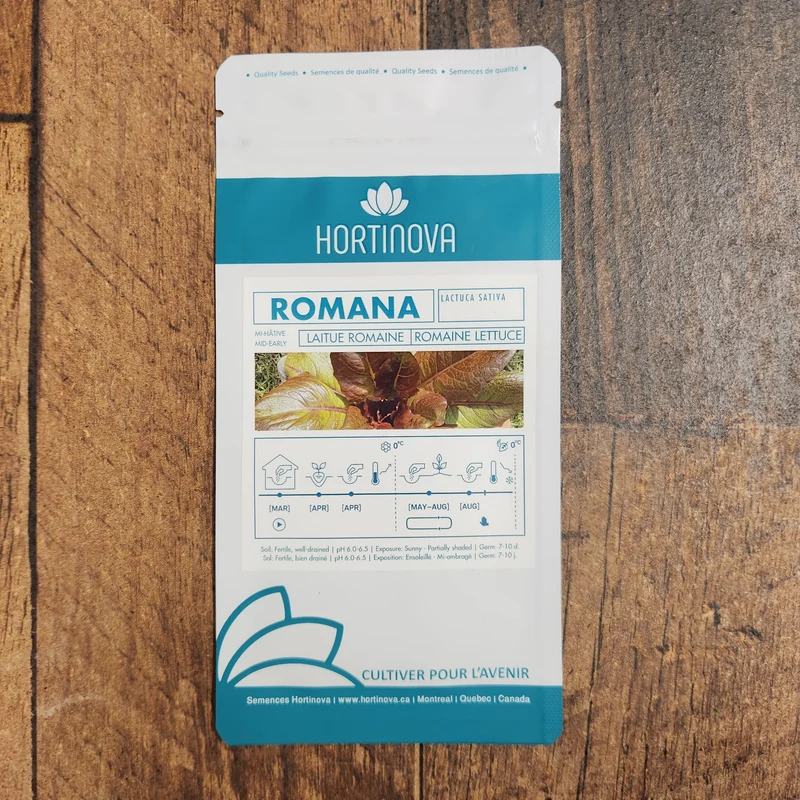Laitue Romaine Rouge 'Romana'