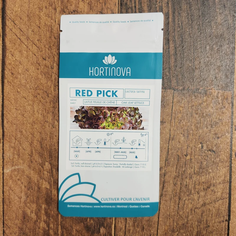 Laitue Feuille de Chêne Rouge 'RED PICK'