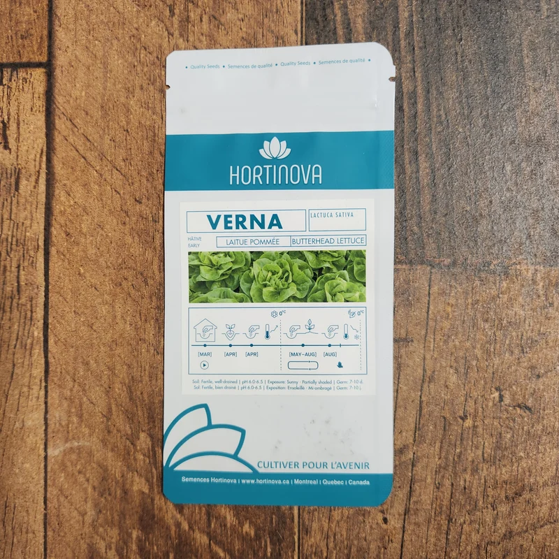 Laitue Pommée Verte 'Verna'