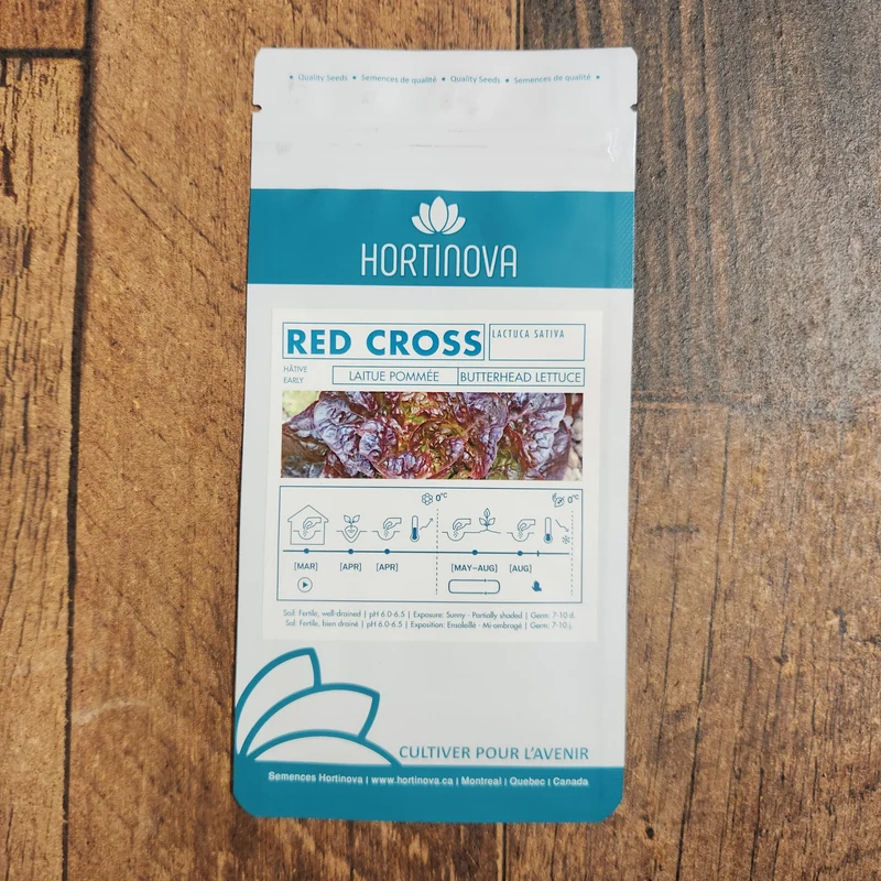 Laitue Pommée Rouge 'Red Cross'
