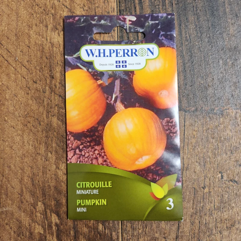 Citrouille miniature ( Cucurbita pepo )