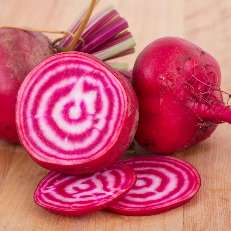 Betterave ‘Chioggia’ bio ( Beta vulgaris ‘Chioggia’)