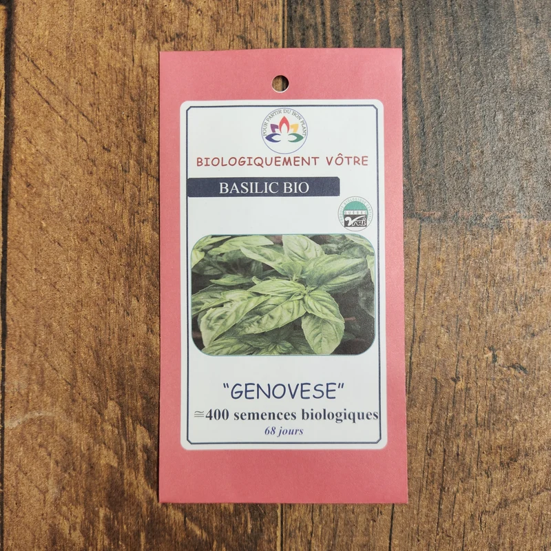 Basilic ‘Genovese’ bio ( Ocimum basilicum ‘Genovese’)