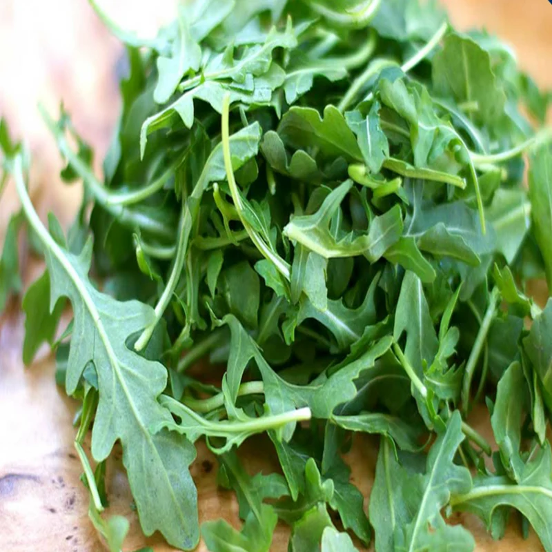 Roquette ‘Esmee’ bio ( Eruca sativa ‘Esmee’)