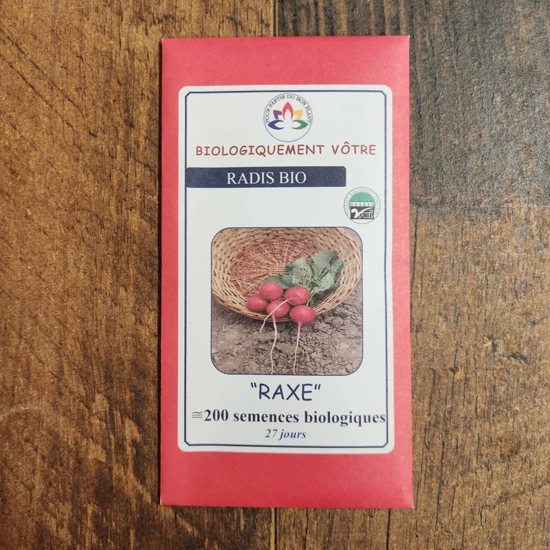 Radis ‘Raxe’ bio ( Raphanus sativus ‘Raxe’)