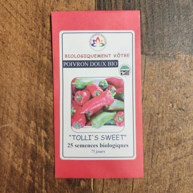 Poivron rouge italien ‘Tolli’s Sweet’ bio ( Capsicum annuum ‘Tolli’s Sweet Italian’)