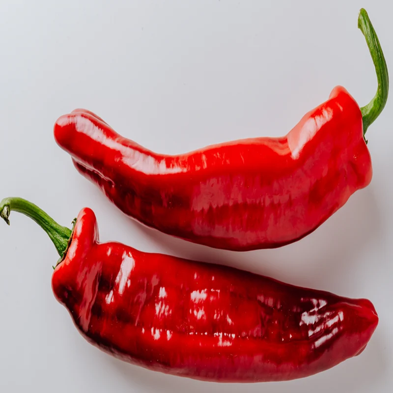 Piment fort ‘Aleppo’ bio ( Capsicum annuum )