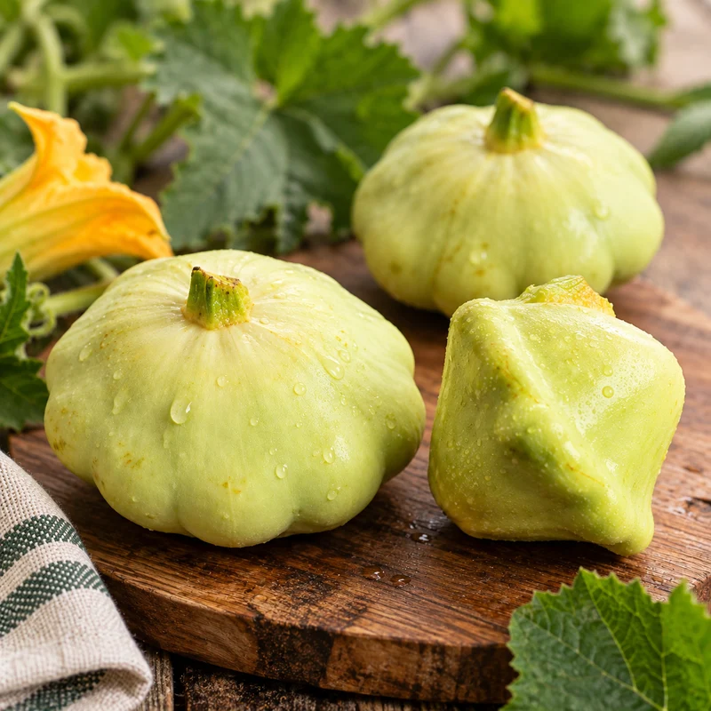 Pâtisson ‘Benning’s Green Tint’ bio ( Cucurbita pepo )