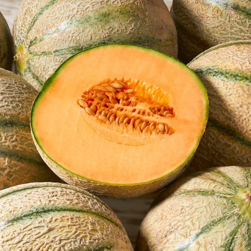 Cantaloup ‘Delicious’ bio ( Cucumis melo )