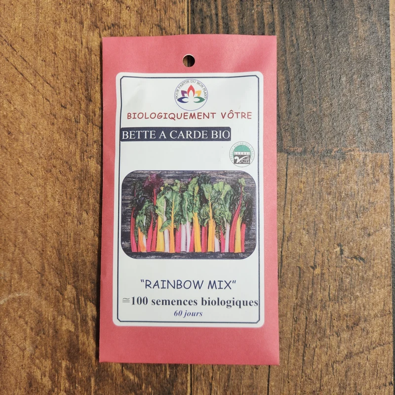 Bette à carde ‘Arc-en-ciel’ bio ( Beta vulgaris )
