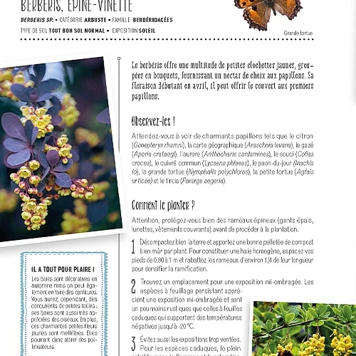 Faites entrer la biodiversité dans votre jardin