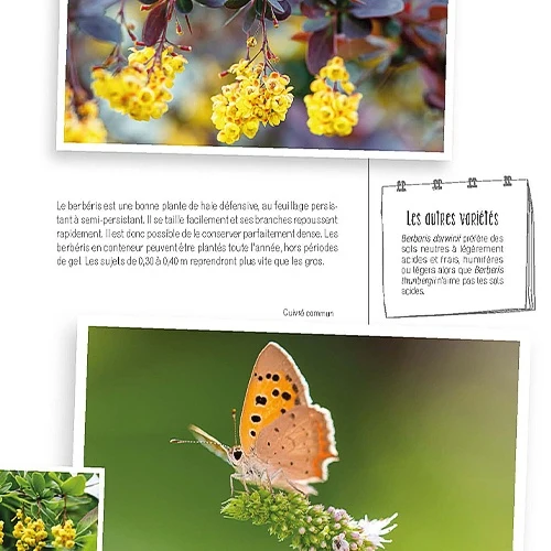 Faites entrer la biodiversité dans votre jardin