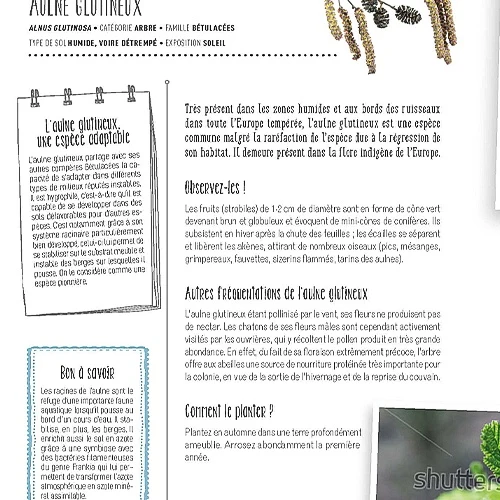 Faites entrer la biodiversité dans votre jardin