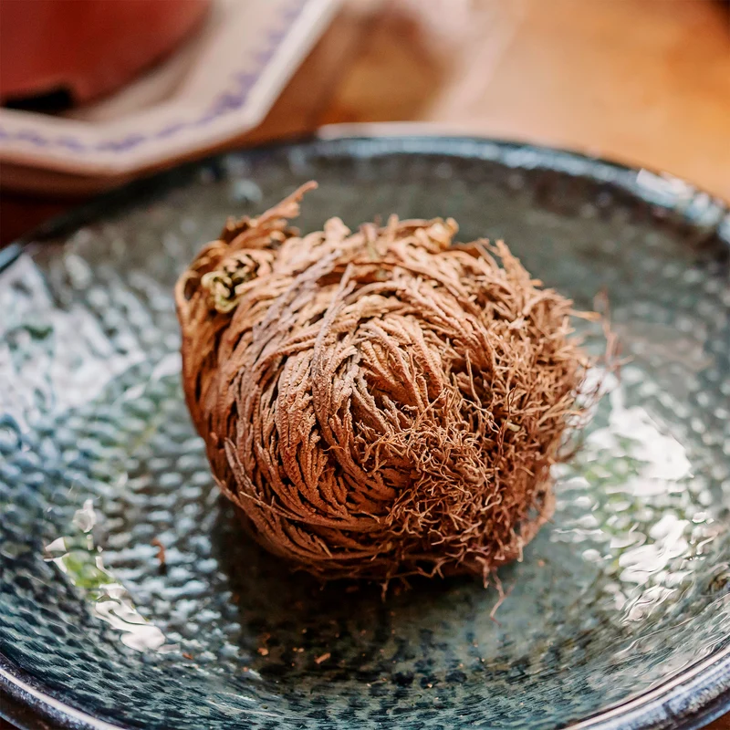 Rose de Jericho