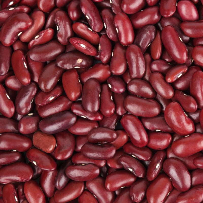 Haricot rouge