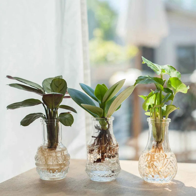 3 Mini-vases vintage