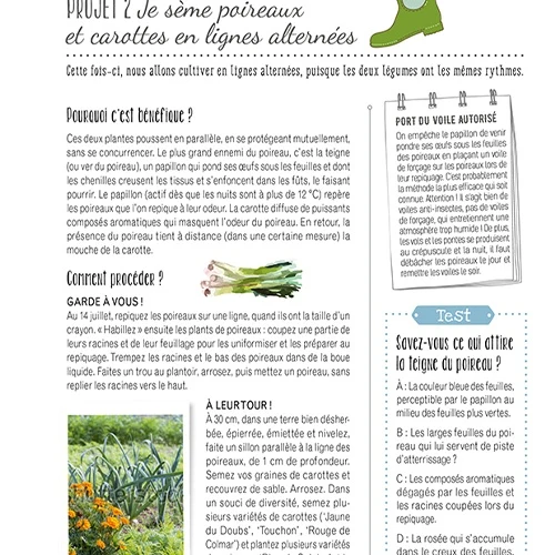 Les plantes compagnes