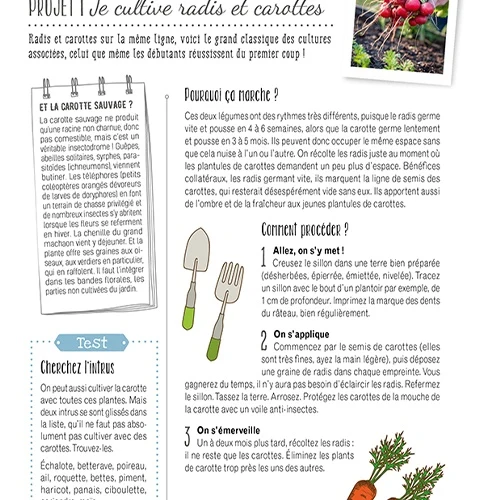 Les plantes compagnes