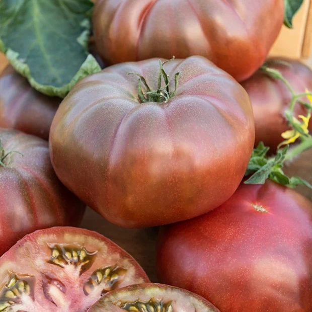 Tomate Noire de Crimée
