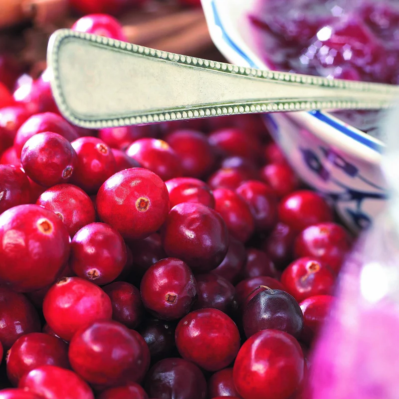 Canneberge - Cranberry