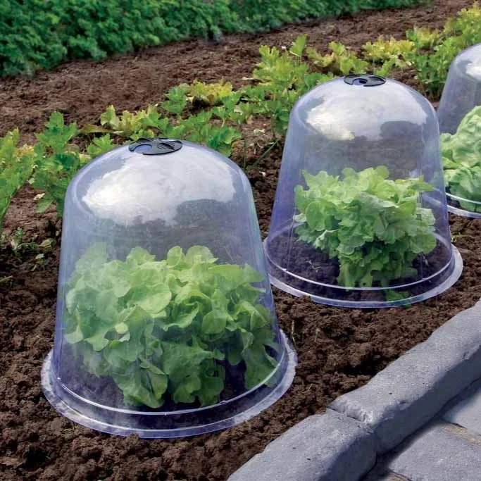 3 Cloches de forçage