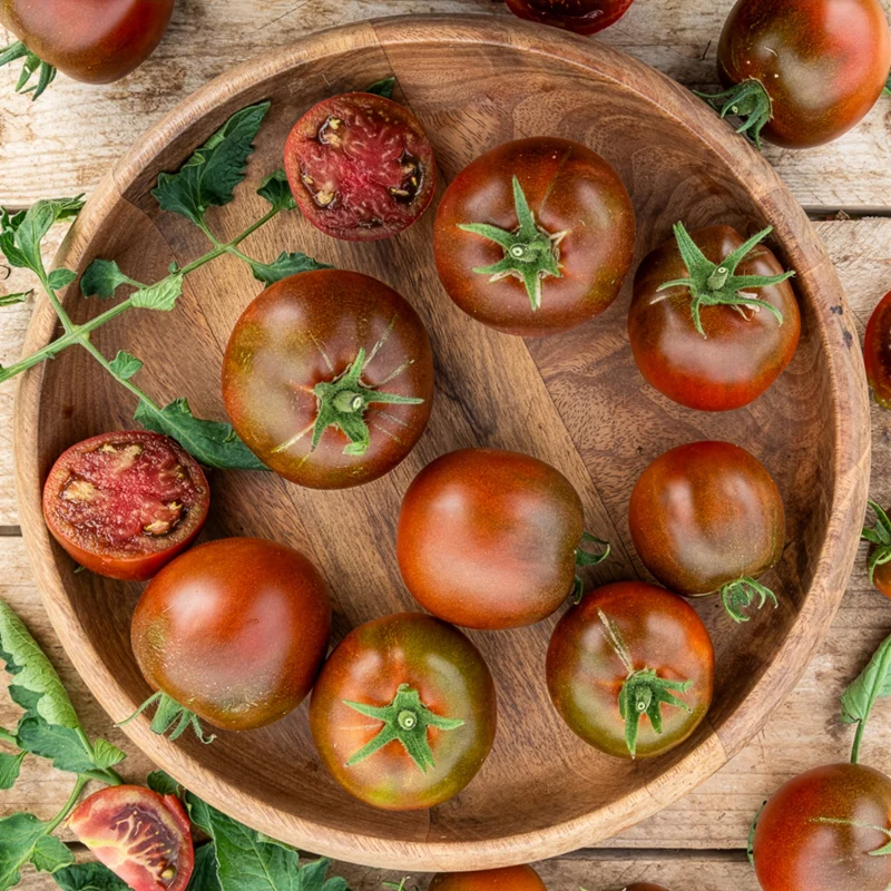 Tomate Noire russe