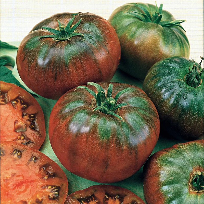 Tomate Noire russe