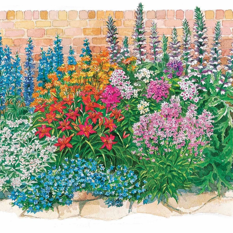 Le massif été fleuri - 18 plantes vivaces - Superficie environ 2 m²